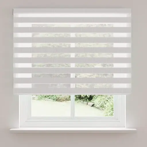 Day & Night Roller Blind
